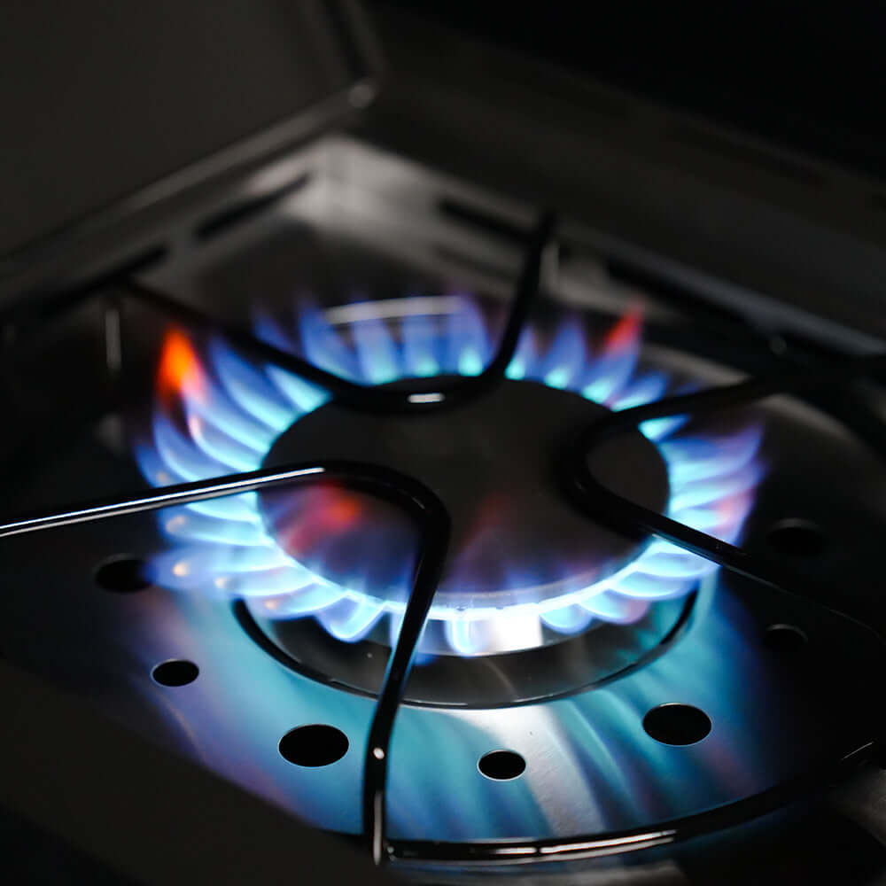 Eminence 425 | Fortified Propane Gas Grill