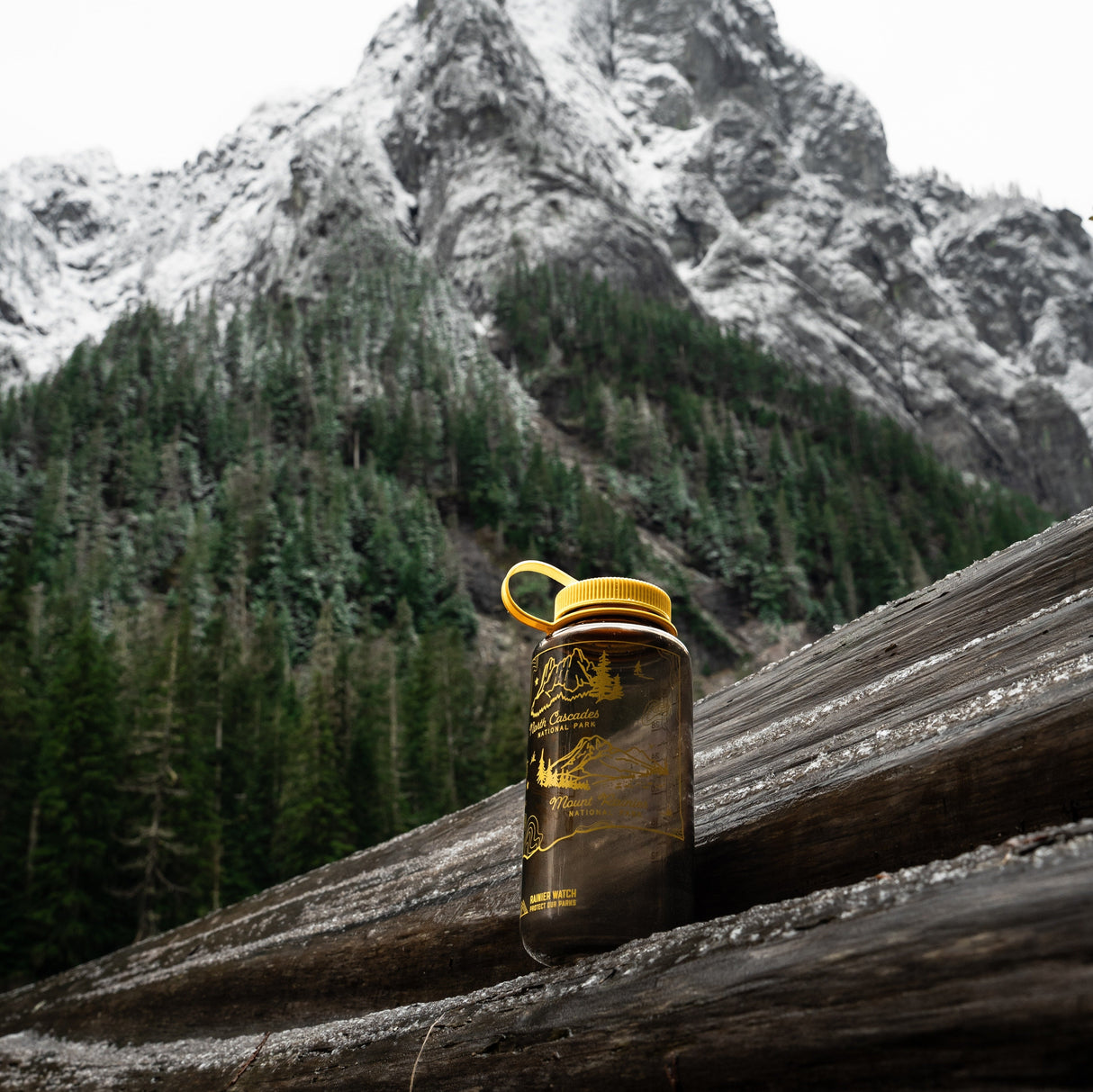 Washington National Parks Water Bottle - 32oz