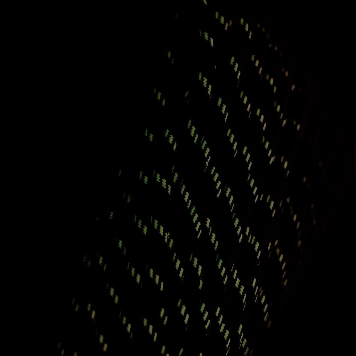 SurvivorCord | REFLECTIVE-ORANGE