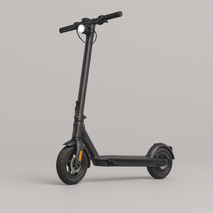 Electric Scooters