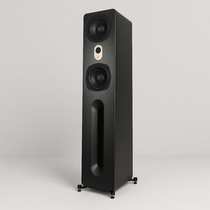 Floor & In-Wall Speakers
