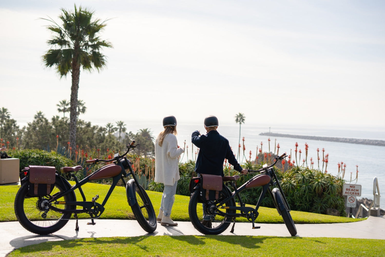 Cheetah OG Cafe' Racer Ebike