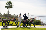 Cheetah OG Cafe' Racer Ebike