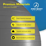 Yoga Ball for Pregnancy, Fitness, Balance, Workout at Home, Office and Physical Therapy (Silver)