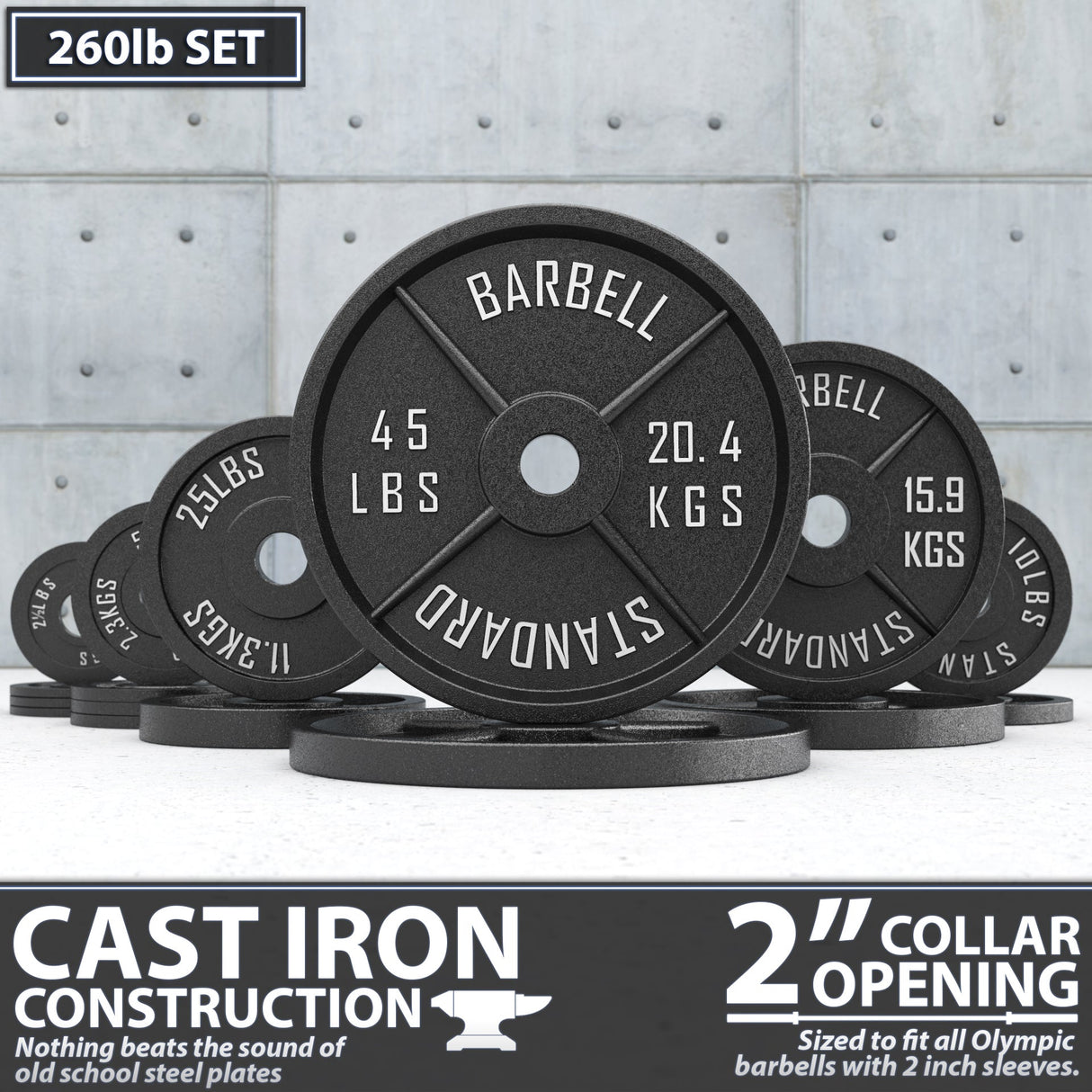 Synergee Standard Metal Weight Plates
