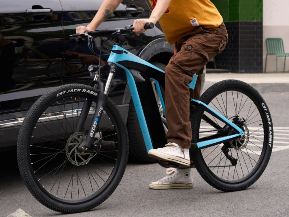 Rundeer Starry Sky UD Carbon Fiber Electric Bike