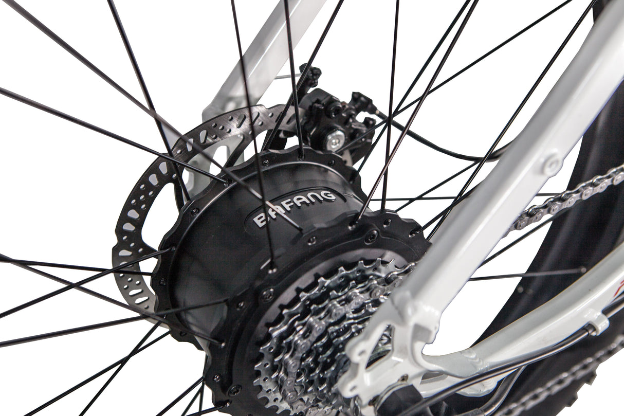 GlareWheel EB-PR Fat Tire Electric Mountain Bicycle