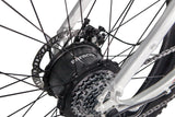 GlareWheel EB-PR Fat Tire Electric Mountain Bicycle