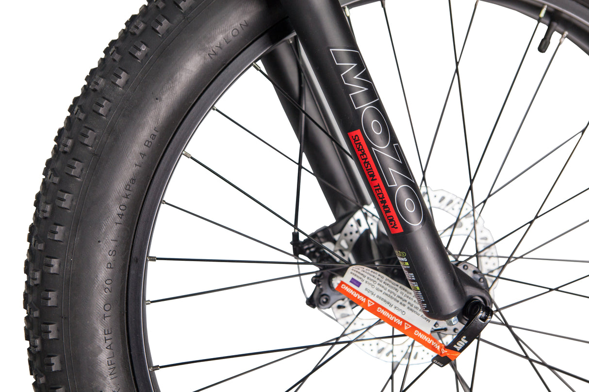 GlareWheel EB-PR Fat Tire Electric Mountain Bicycle