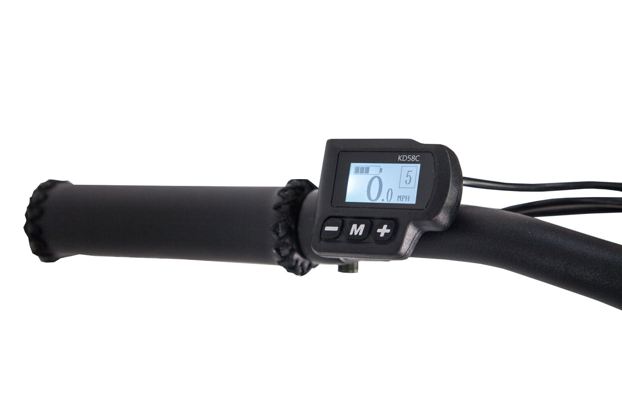 GlareWheel EB-PR Fat Tire Electric Mountain Bicycle