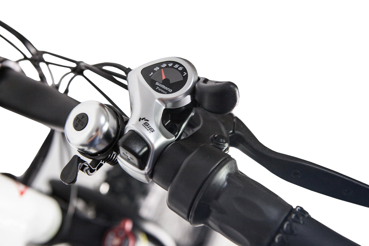GlareWheel EB-PR Fat Tire Electric Mountain Bicycle