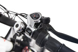 GlareWheel EB-PR Fat Tire Electric Mountain Bicycle