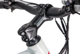 GlareWheel EB-PR Fat Tire Electric Mountain Bicycle