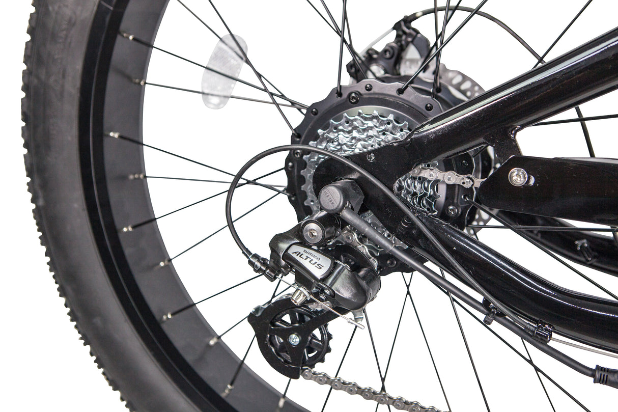 GlareWheel EB-PR Fat Tire Electric Mountain Bicycle