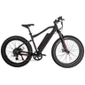 GlareWheel EB-PR Fat Tire Electric Mountain Bicycle