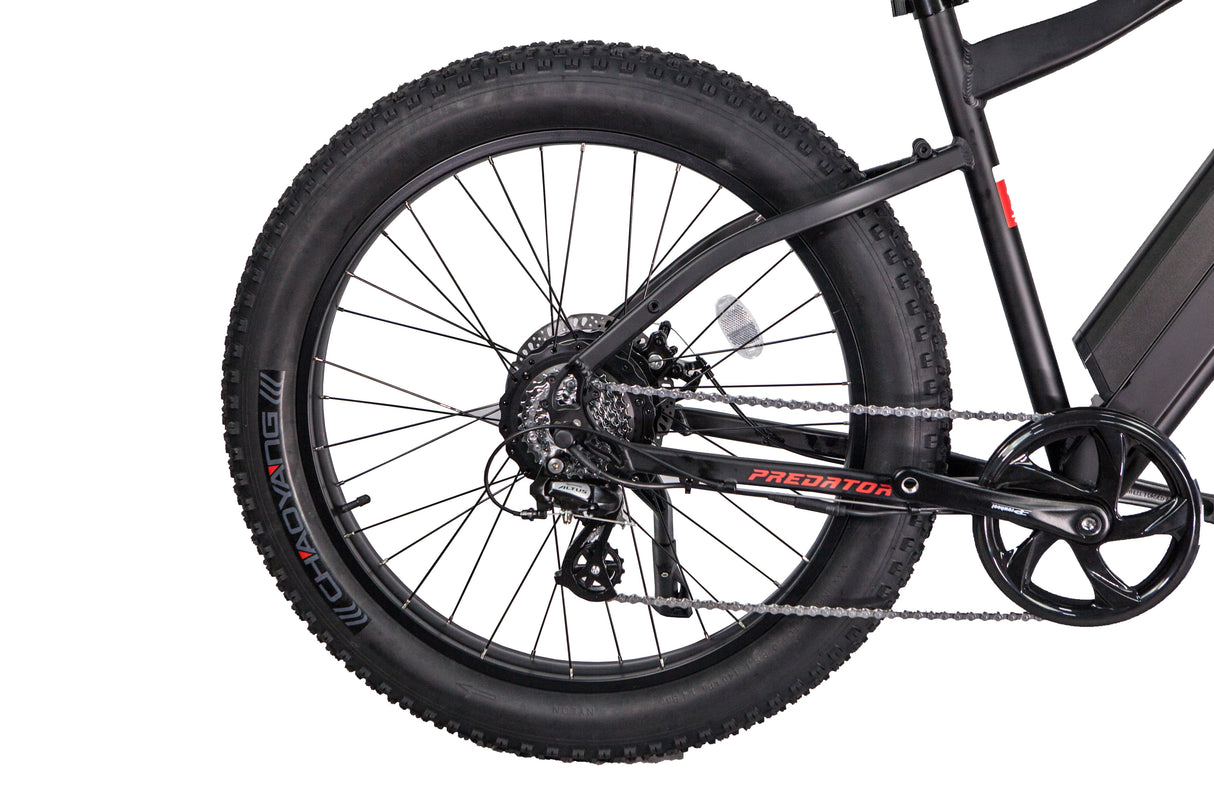 GlareWheel EB-PR Fat Tire Electric Mountain Bicycle