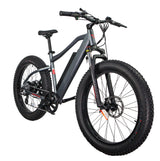 GlareWheel EB-PR Fat Tire Electric Mountain Bicycle