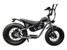 AR Atom 1000 Watt Mini Electric Bicycle