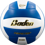 Perfection Leather Volleyball