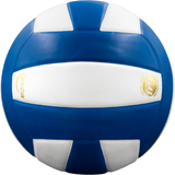 Perfection Leather Volleyball