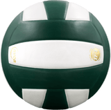 Perfection Leather Volleyball