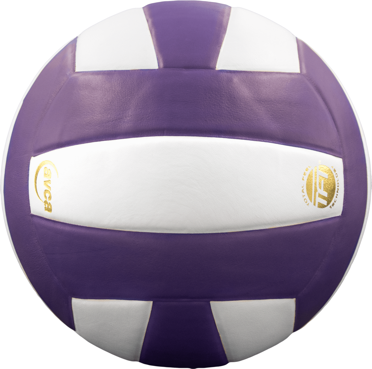 Perfection Leather Volleyball