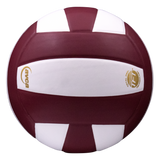 Perfection Leather Volleyball