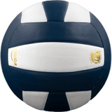 Perfection Leather Volleyball