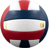 Perfection Leather Volleyball