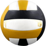 Perfection Leather Volleyball
