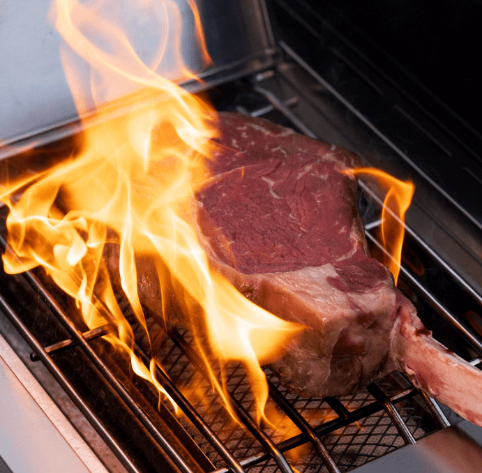 Eminence 405 |Tech Stainless Propane Gas Grill