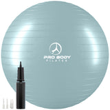 Pregnancy Ball for Maternity, Labor and Birth.  Includes Pregnancy Guide.  (Mist)